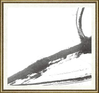 唐双宁_越女镜心（局部）