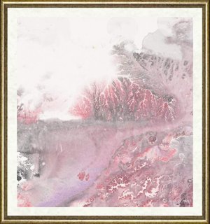 沈金波_红了