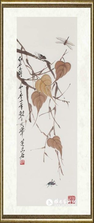 李海峰_贝叶草虫