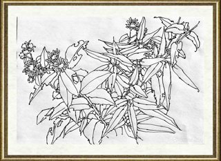 邢诚爱_作品103