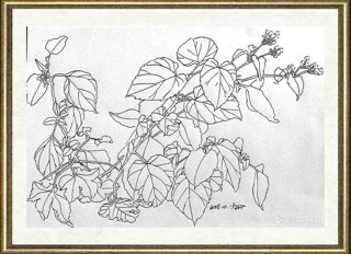 邢诚爱_作品112
