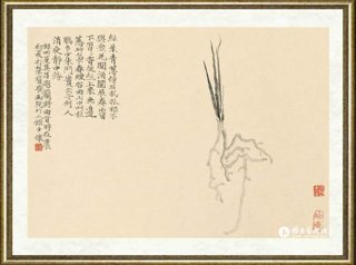 赵少俨_露根兰