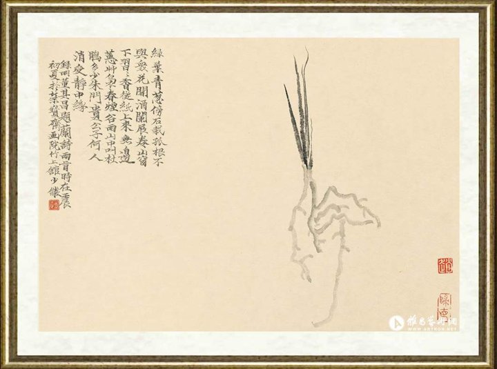 赵少俨_露根兰