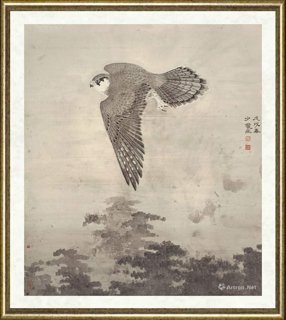 赵少俨_高飞