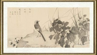 赵少俨_鸟语山容开