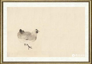 赵少俨_鸡