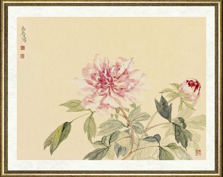 宋秦晋_芳华