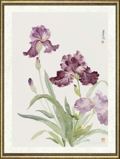 宋秦晋_鸢尾