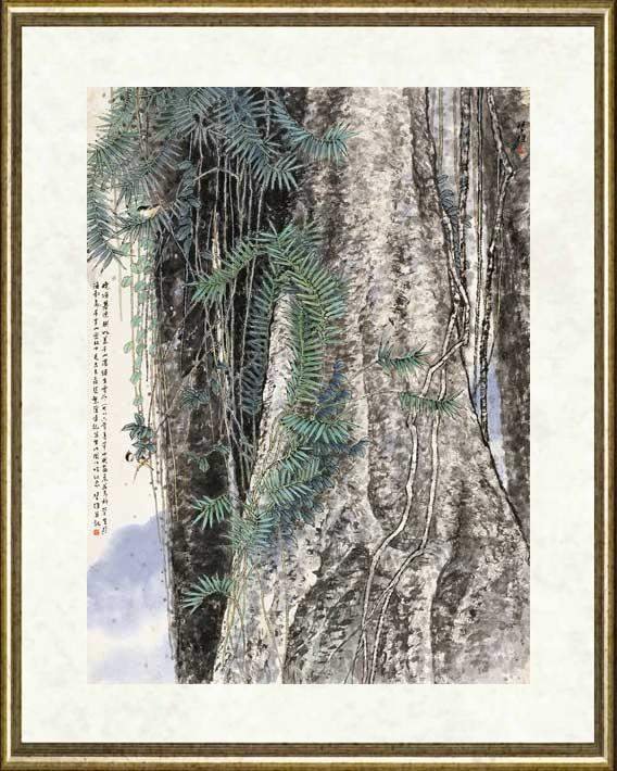 方楚雄_雨林巨木