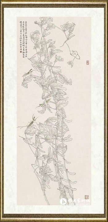 苏百钧_豆荚