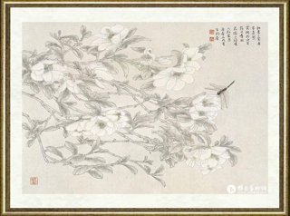 苏百钧_高山含笑