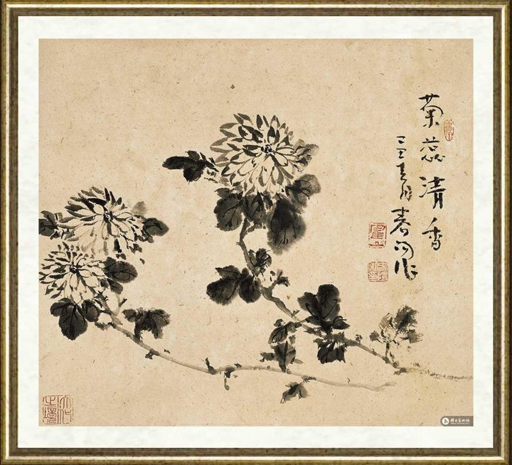 霍春阳_菊蕊清香