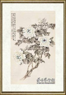 于非闇_白牡丹