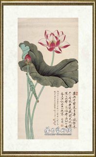 于非闇_荷花