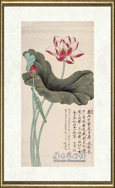 于非闇_荷花