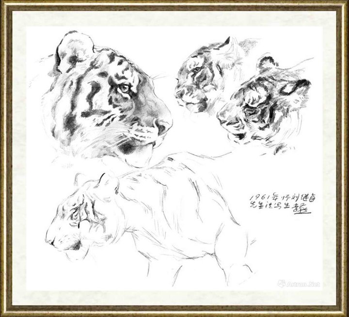 李燕_虎头
