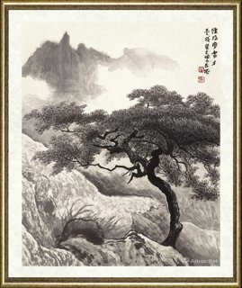 杨长槐_经得风雪才是我