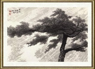 杨长槐_风松