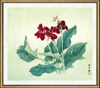 成方_美人蕉