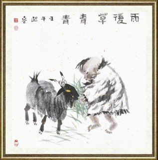 王迎春_雨后草青青