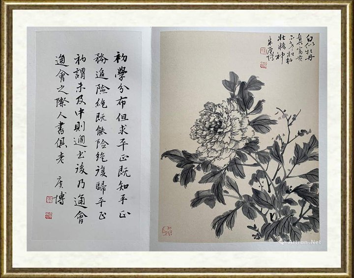 朱赓博_芍药