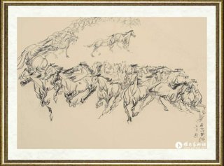 杨书华_速写作品007