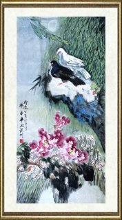 杨书华_鸽语