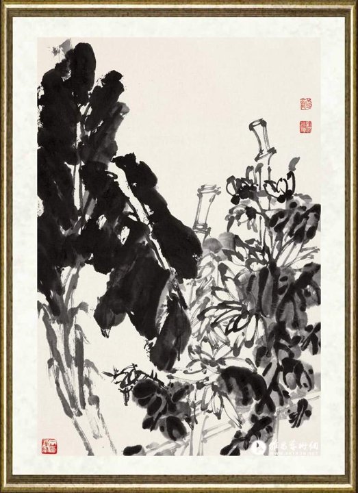 刘昌潮_蕉菊