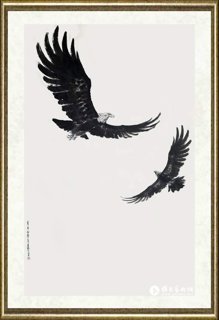 君寿_鹰击长空