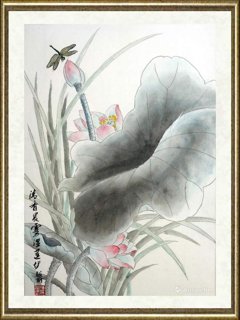 张丽_蜻蜓点滴