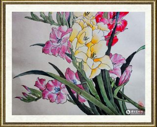 张丽_鸢尾