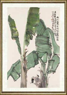 马顺先_雨打芭蕉未添愁