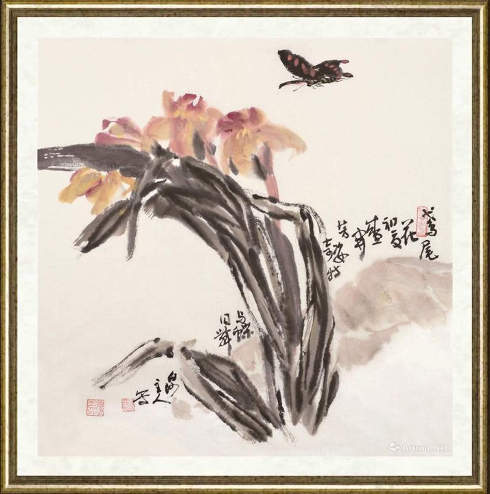 曾贤谋_鸢尾花