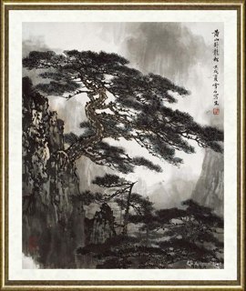 白雪石_黄山卧龙松