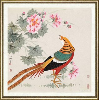 马瑞涛_锦鸡炫美