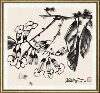 王玉珏_花卉速写