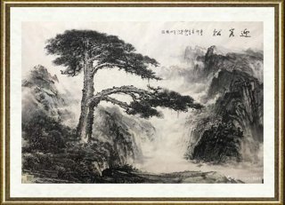 胡江_迎客松