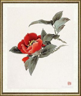 邹传安_茶花彩色范图