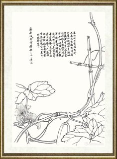 邹传安_藤本植物用线举要之一：黄瓜