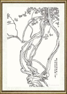 邹传安_藤本植物用线举要之二：热带雨林中的古藤、木质