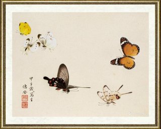 邹传安_蝴蝶彩色写生稿