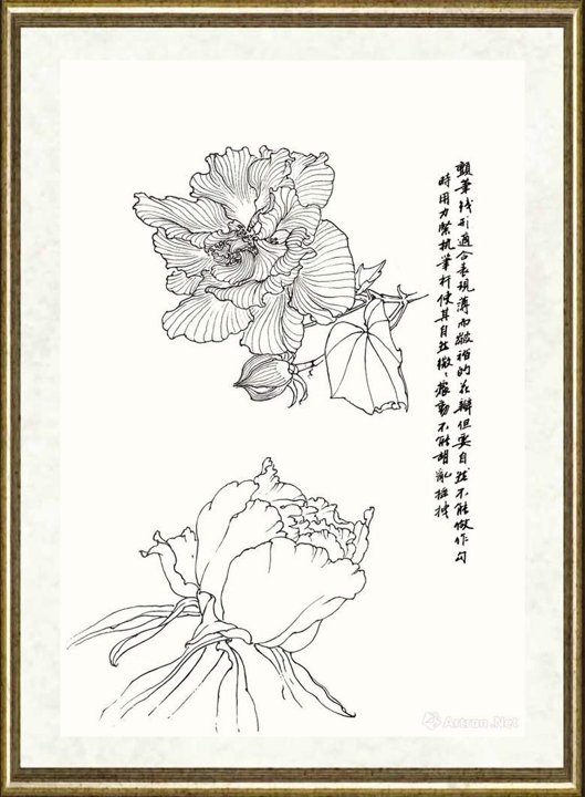 邹传安_颤笔线型示范之一