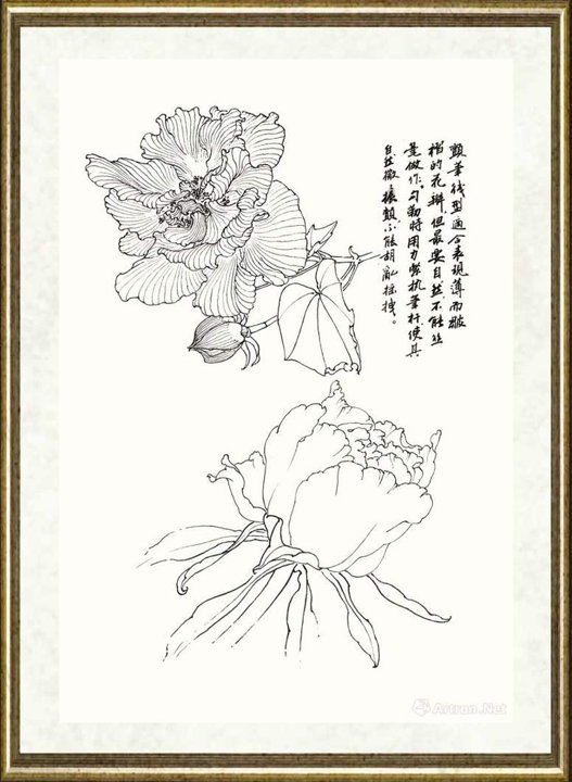 邹传安_颤笔线型示范之二