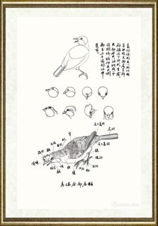 邹传安_鸟体各部名称线描范图