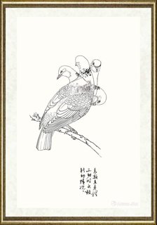邹传安_鸟类头颈动势线描范图