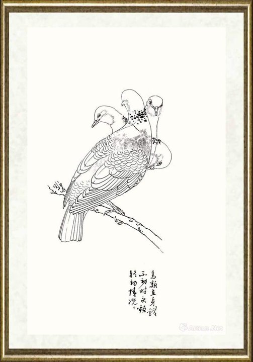 邹传安_鸟类头颈动势线描范图