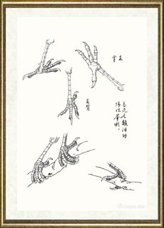 邹传安_鸟足各类活动情况举例范图