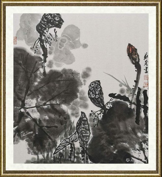 郑义_荷花