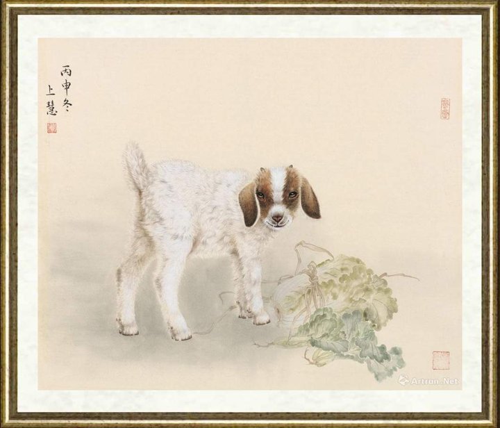 赵上慧_羊1