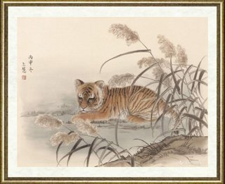 赵上慧_虎